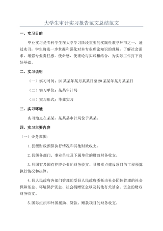 大学生审计实习报告范文总结范文