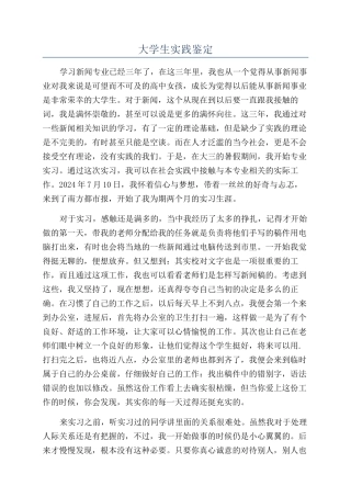 大学生实践鉴定