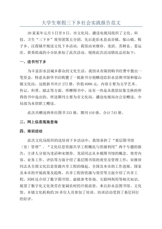 大学生寒假三下乡社会实践报告范文