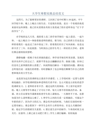 大学生寒假实践总结范文