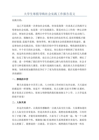 大学生寒假导购社会实践工作报告范文