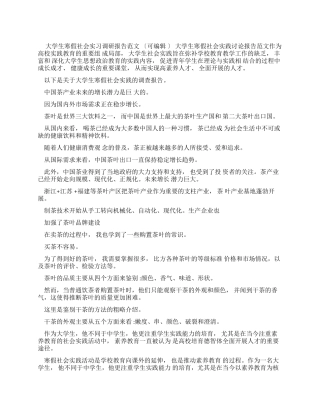 大学生寒假社会实习调研报告例文doc