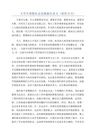 大学生寒假社会实践报告范文(软件公司)
