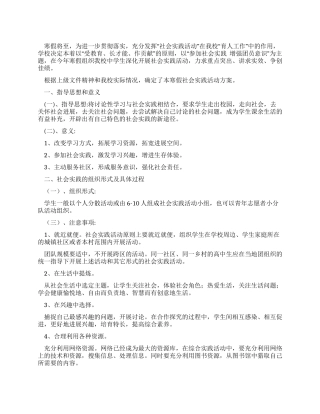 大学生寒假社会实践活动方案