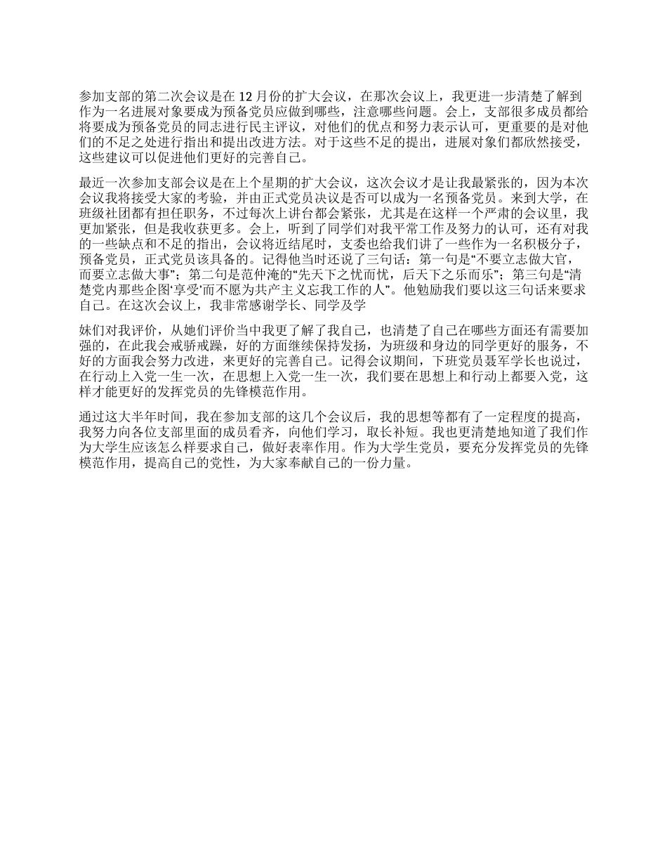 大学生支部会议心得体会_第1页