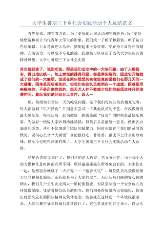 大学生暑期三下乡社会实践活动个人总结范文