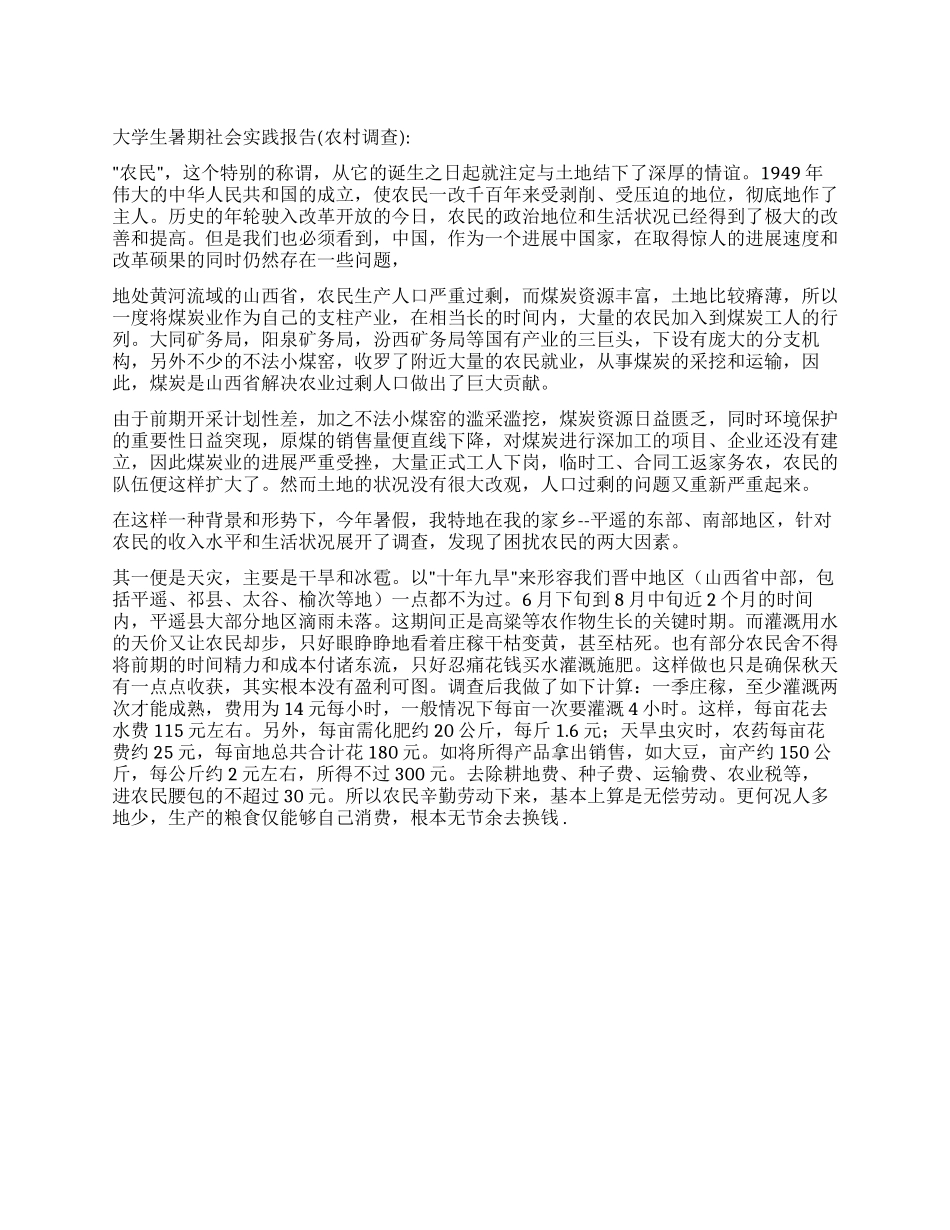 大学生暑期农村调查实践报告_第1页