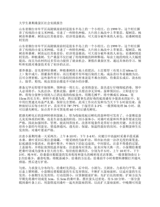 大学生暑期桑蚕区社会实践报告