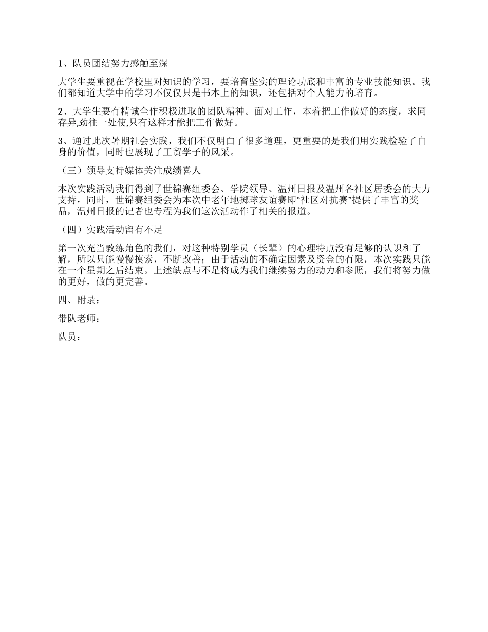 大学生暑期社会实践团队总结报告_第3页