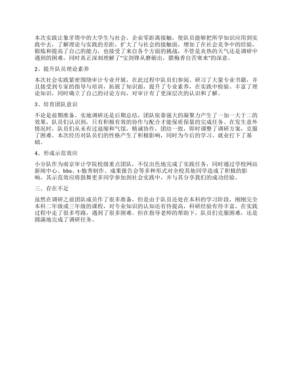 大学生暑期社会实践家电连锁业内部审计_第2页