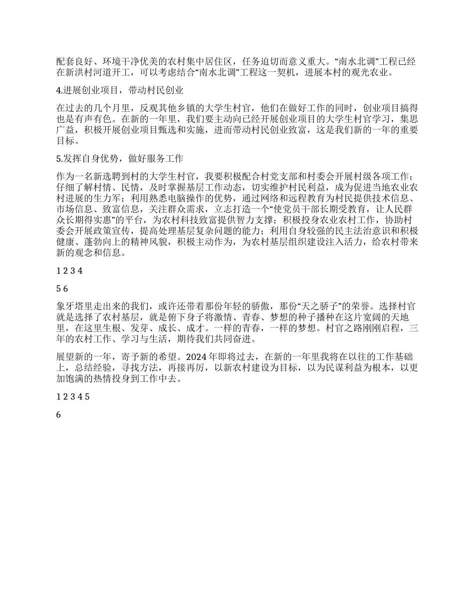 大学生村官2024年工作总结与2024年工作计划_第3页