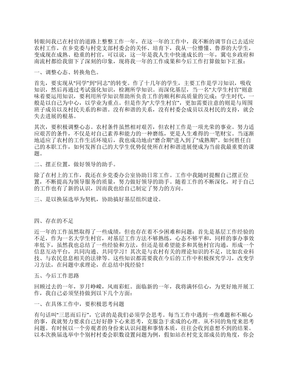 大学生村官关于农村工作的总结_第1页