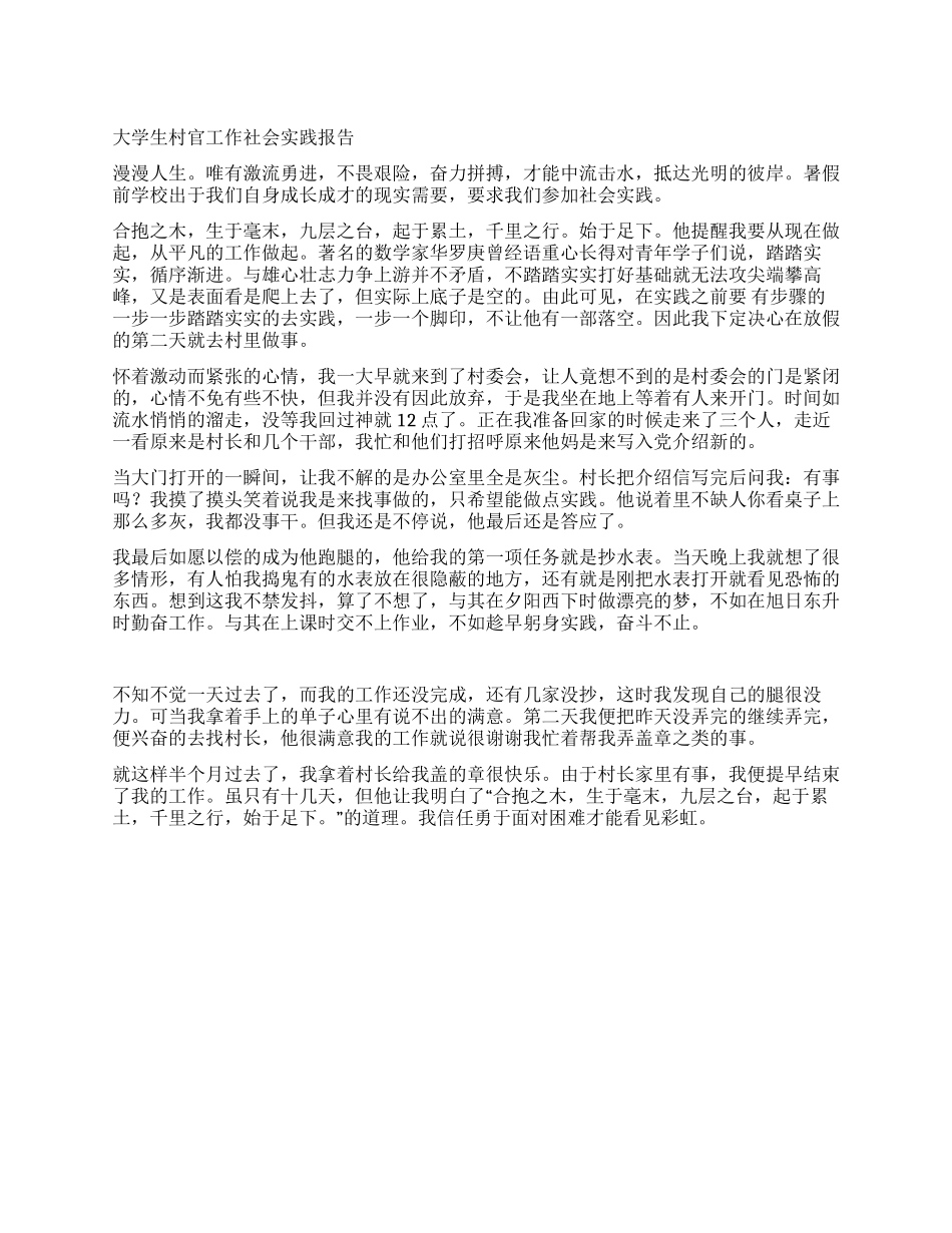 大学生村官工作社会实践报告_第1页