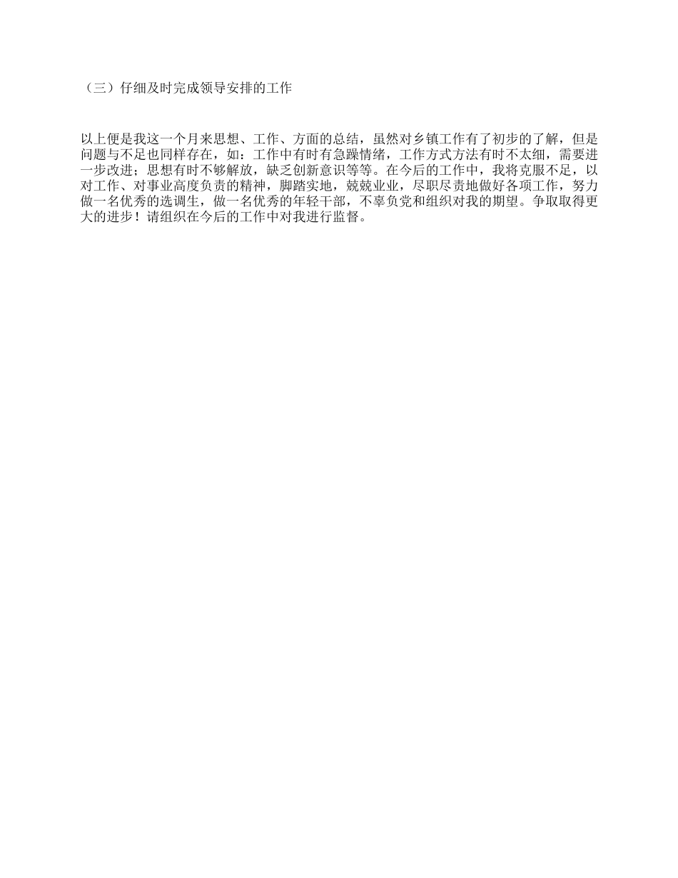 大学生村官思想工作总结_第2页