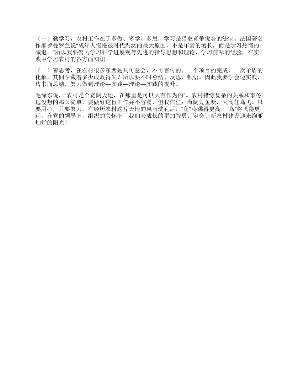 大学生村官第季度工作总结-村党总支副书记_第2页