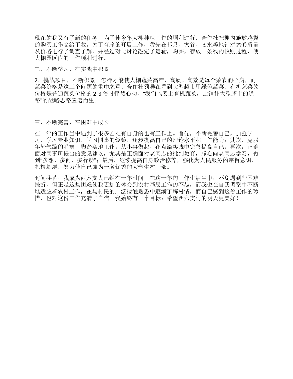 大学生村干部村委主任助理个人工作总结_第2页