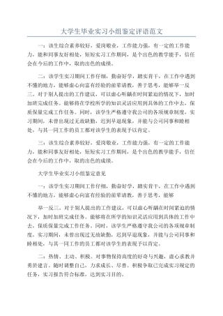 大学生毕业实习小组鉴定评语范文