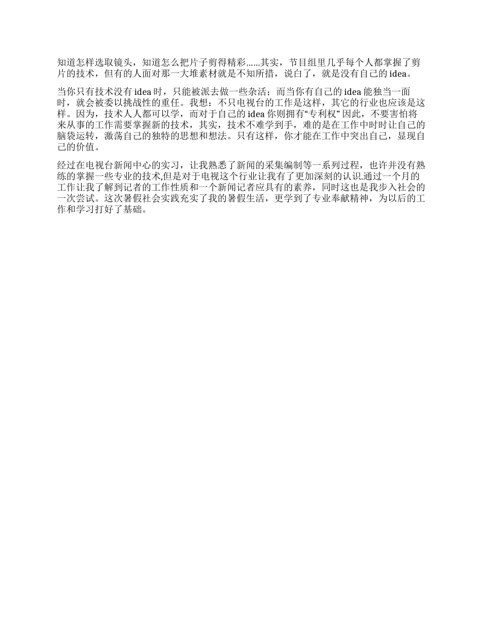 大学生电视台的社会实践报告_第3页