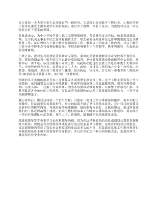 大学生社会实践-财政局实习报告