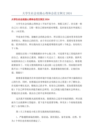 大学生社会实践心得体会范文例文2024
