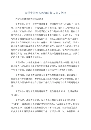 大学生社会实践调查报告范文例文