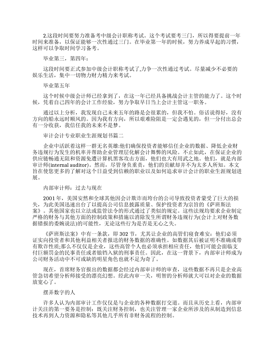 大学生职业生涯规划书审计专业_第3页