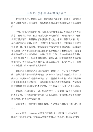 大学生计算机实训心得体会范文