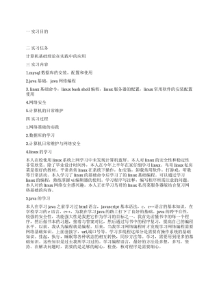 大学生计算机实习报告总结