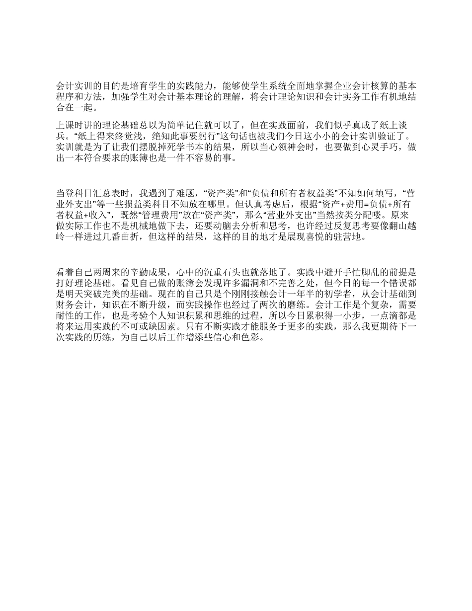 大学生财务会计两周实训报告_第1页