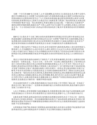 大学生财务会计ERP实习报告