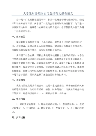 大学生财务顶岗实习总结范文报告范文