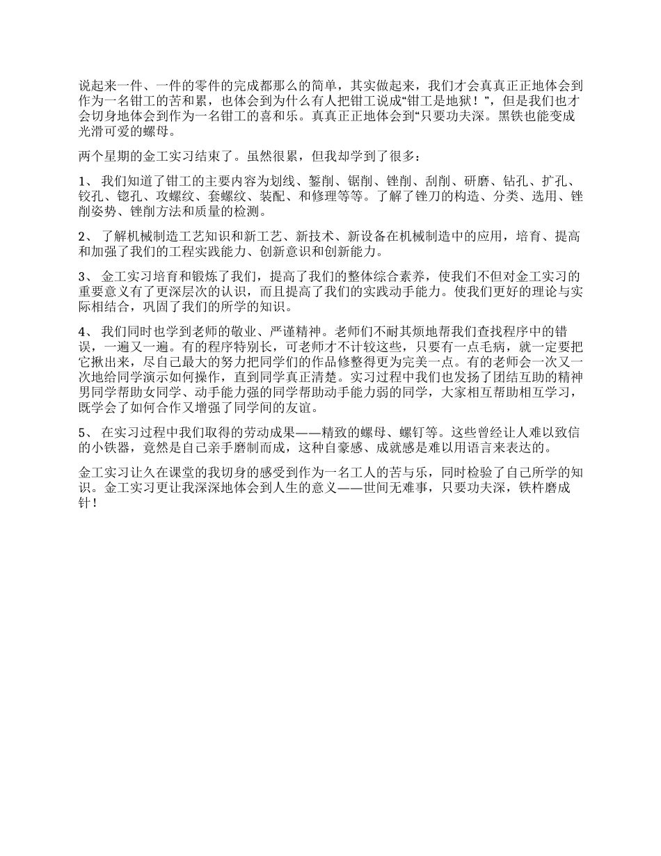 大学生钳工实训报告范文_第3页