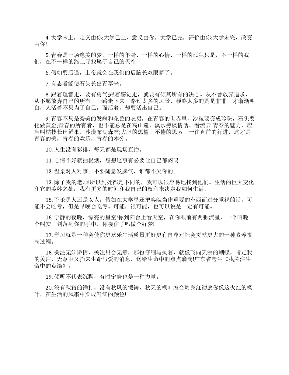 大学生青春励志的经典句子_第3页