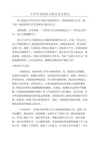 大学生顶岗实习报告范文例文