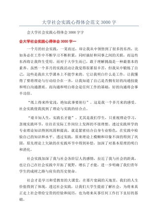 大学社会实践心得体会范文3000字