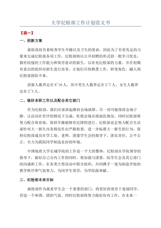 大学纪检部工作计划范文书