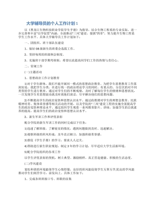 大学辅导员的个人工作计划两篇2024