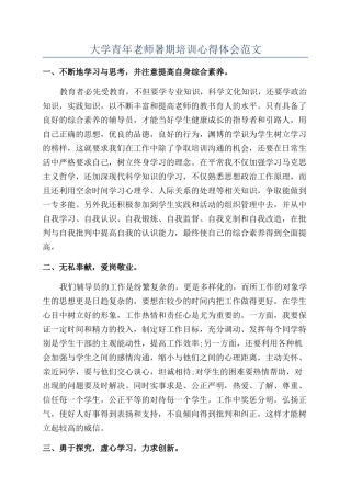 大学青年教师暑期培训心得体会范文