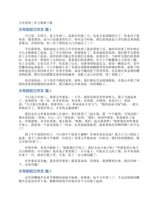 大年的初三作文锦集7篇