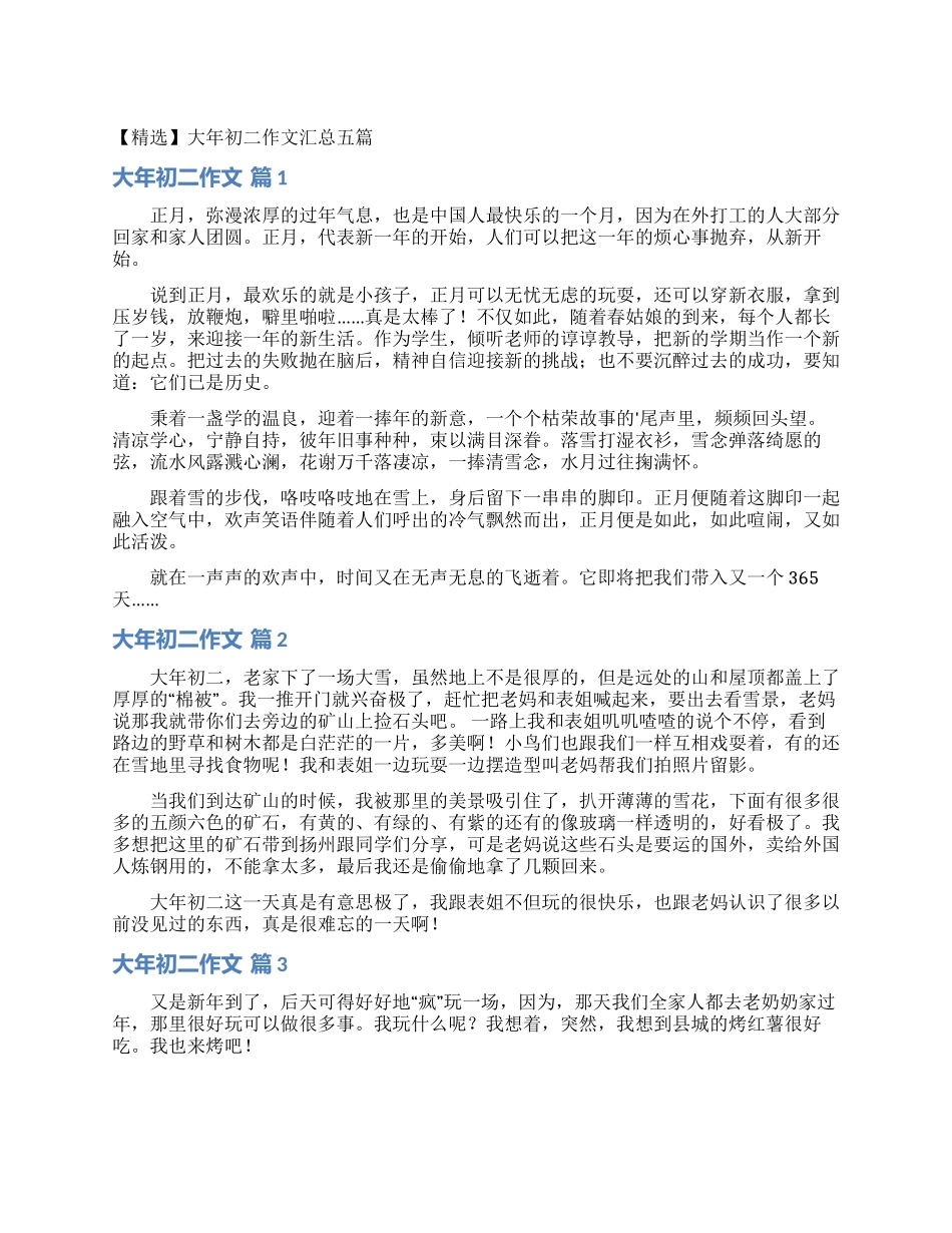 大年初二作文汇总五篇_第1页