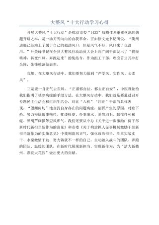 大整风“十大行动学习心得