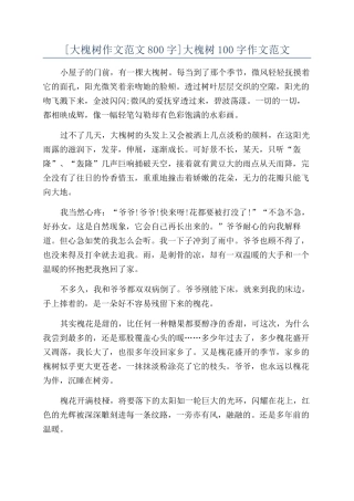 大槐树100字作文范文