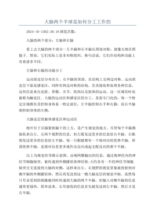 大脑两个半球是如何分工工作的