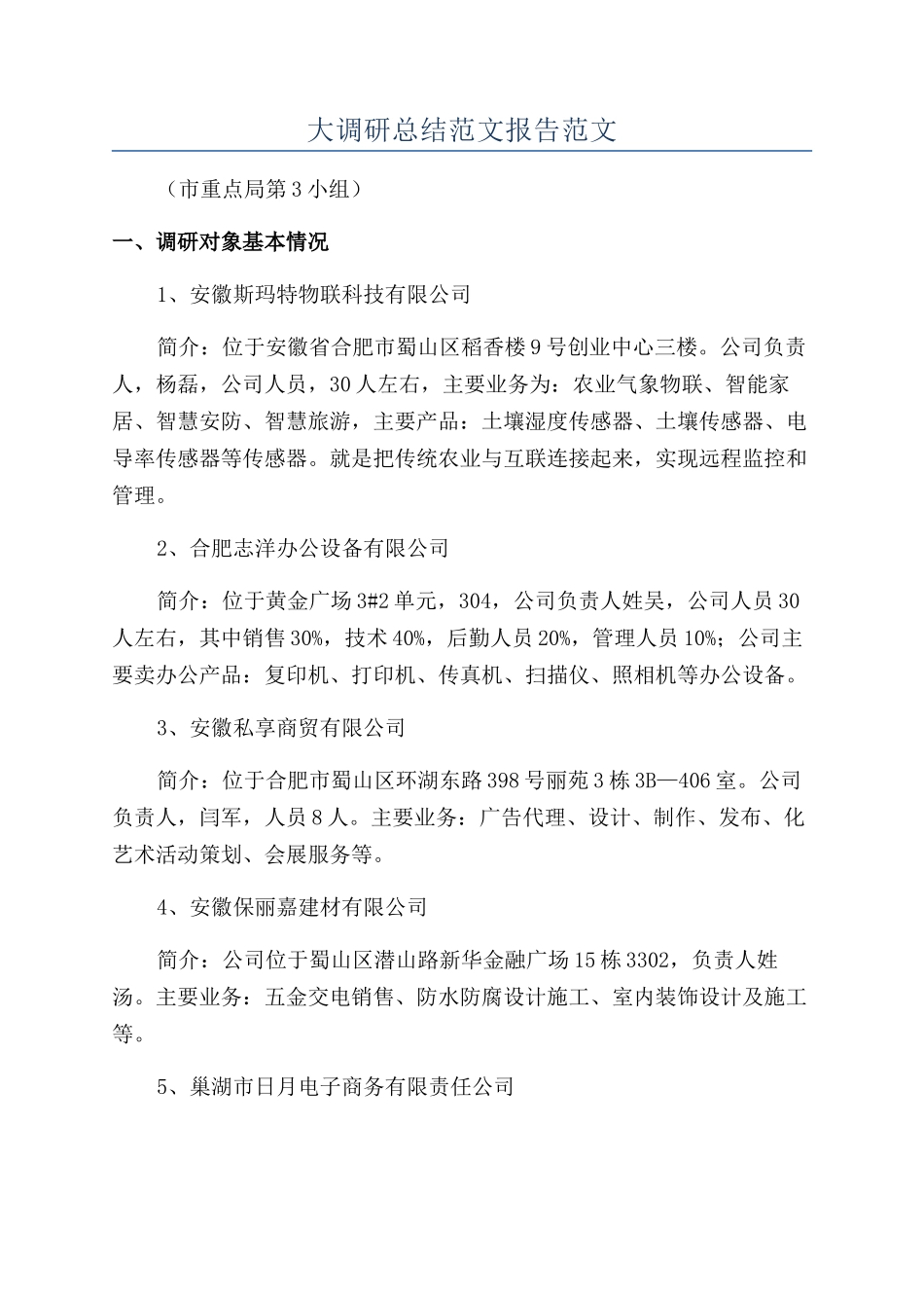 大调研总结范文报告范文_第1页