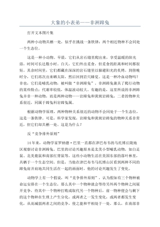 大象的小表弟——非洲蹄兔