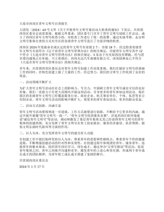 大连市西岗区青年文明号自查报告