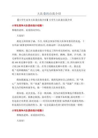 大队委的自我介绍