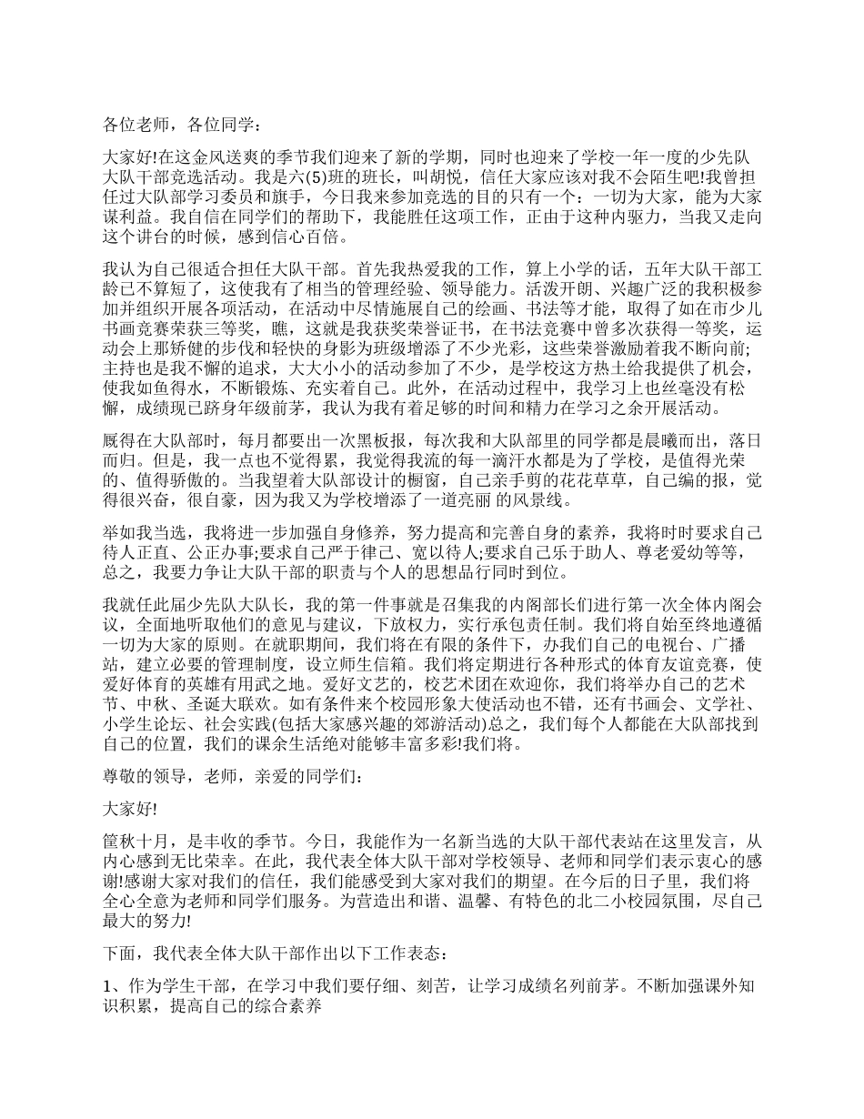 大队干部个人简介_第1页