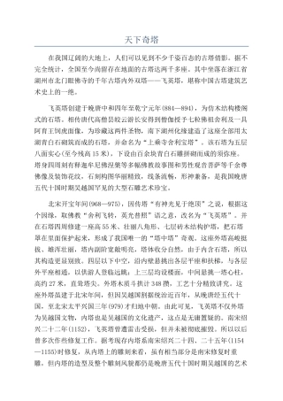 天下奇塔-精品文档