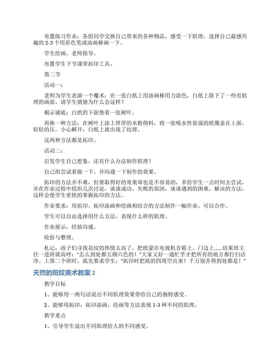 天然的斑纹美术教案_第2页